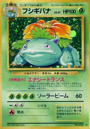 Venusaur - Holo Rare - NM - Holofoil